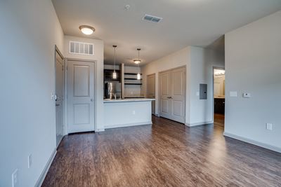 Open Concept Living with Wood-Style Plank Flooring